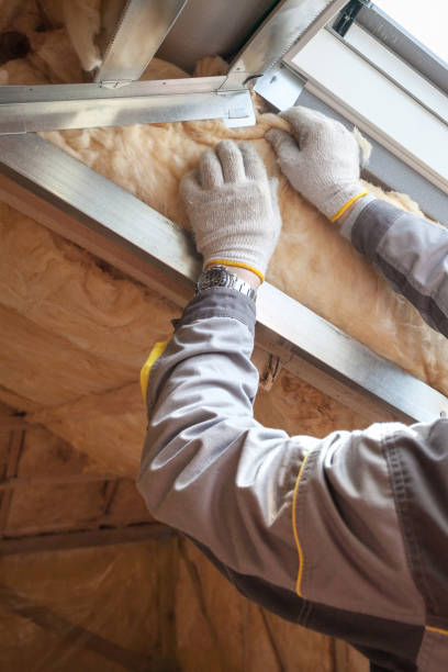 Best Insulation Contractor Near Me  in Winnetka, IL