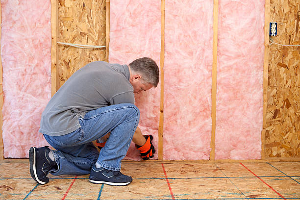 Best Attic Insulation Installation  in Winnetka, IL